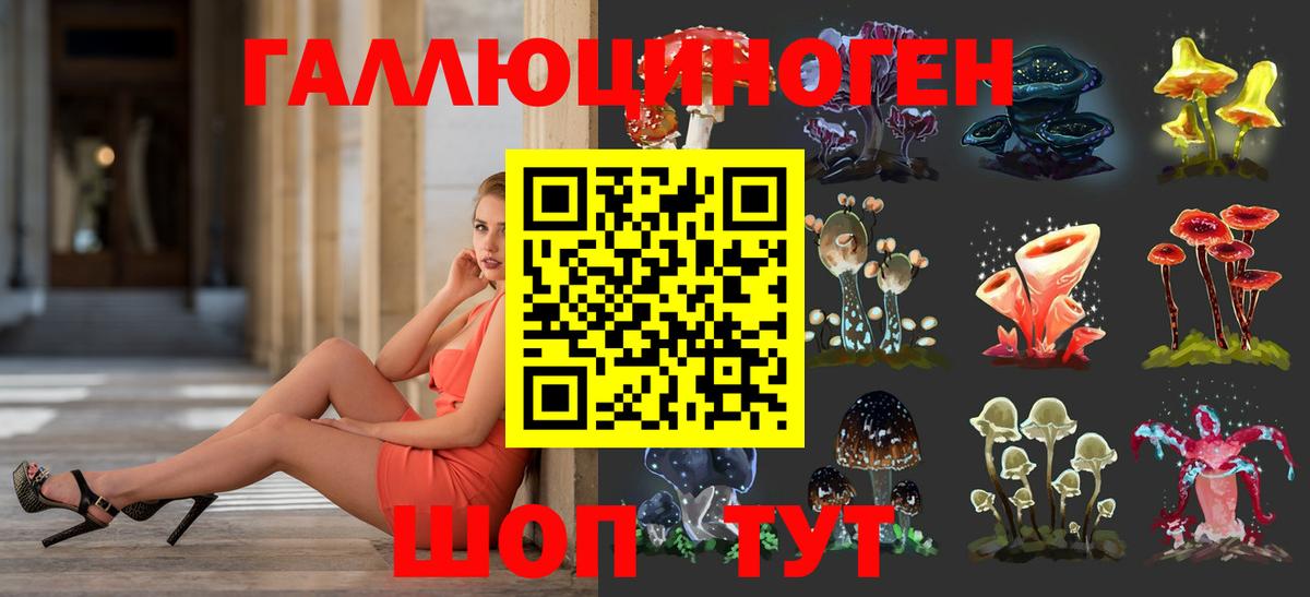 Галлюциногенные грибы Psilocybe Белореченск